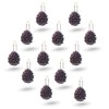 Interior Trends 12 Piece Set of Decorative Shower Curtain Hooks