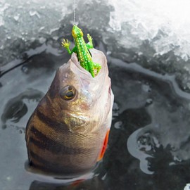 - Soft Bass Fishing Lure - Finesse Soft Plastics Swim, Bait Bass Fishing Lure with Curly Legs and Tail for Outdoor