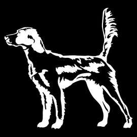 Express Yourself Products English Setter in The Field (White - Image Facing as Shown - Medium) Decal Sticker - Hunting Dog Collection