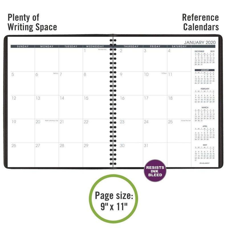 2020 Monthly Planner by AT-A-GLANCE, 9" x 11", Large, 15