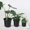 RAOOKIF 100 Pack Black Nursery Pots, 4 Inch Pot for