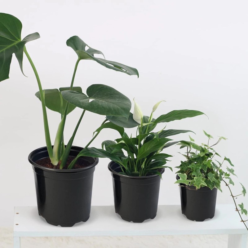 RAOOKIF 100 Pack Black Nursery Pots, 4 Inch Pot for