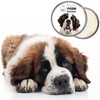 The Blissful Dog St. Bernard Nose Butter, Versatile Dog Nose