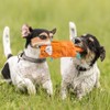 No Stuffing Dog Toys - 5 Pack Squeaky Dog Toys