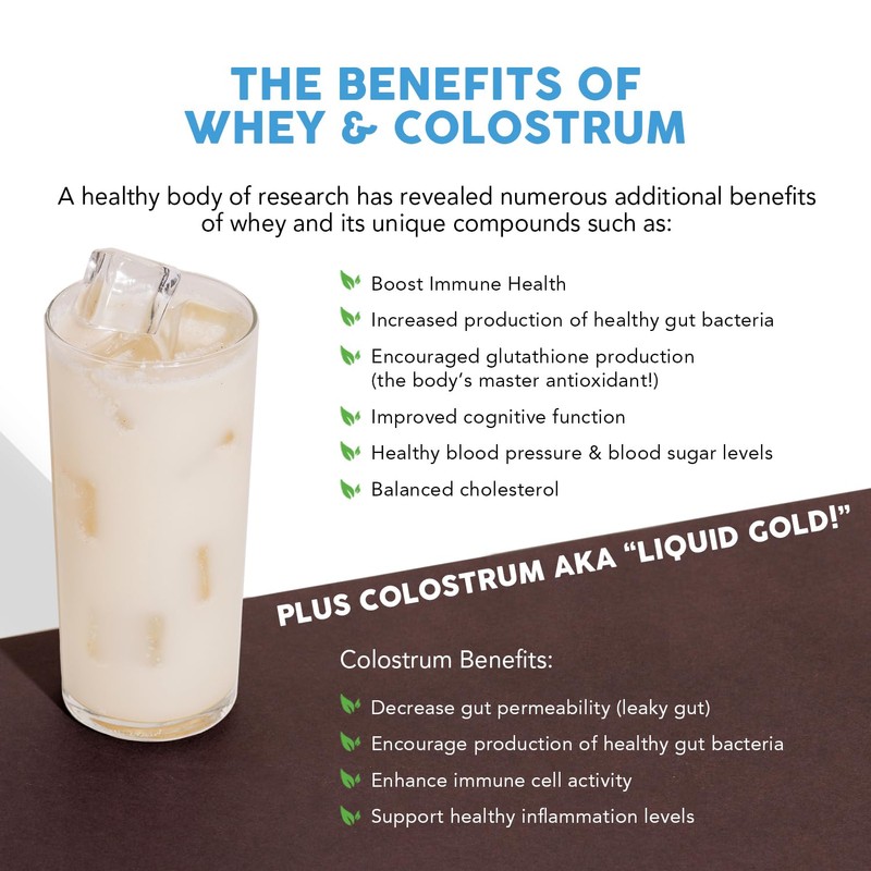 Paleovalley 100% Grassfed Whey Protein Powder with Colostrum, 13g Protein,