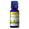 Divine Essence-Organic-Eucalyptus Radiata Essential Oil-100% pure & natural, ECOCERT, NPN:80047249