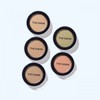 The Saem Intensive Cover Perfection Pot Concealer Green Beige 5001496