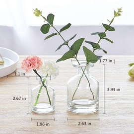 Set of 3 Small Glass Vase for Centerpieces,Glass Bud Vase Hydroponic Vase,Mini Table Vase Clear Flower Vase Decorative for Wedding Farmhouse Party Home Decor(clear 1)