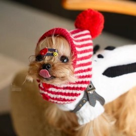 Winter Pet Balaclava for Dogs & Cats - Christmas Mallard Design lf2505 S (approx. 4-5 lbs) Red 3ea