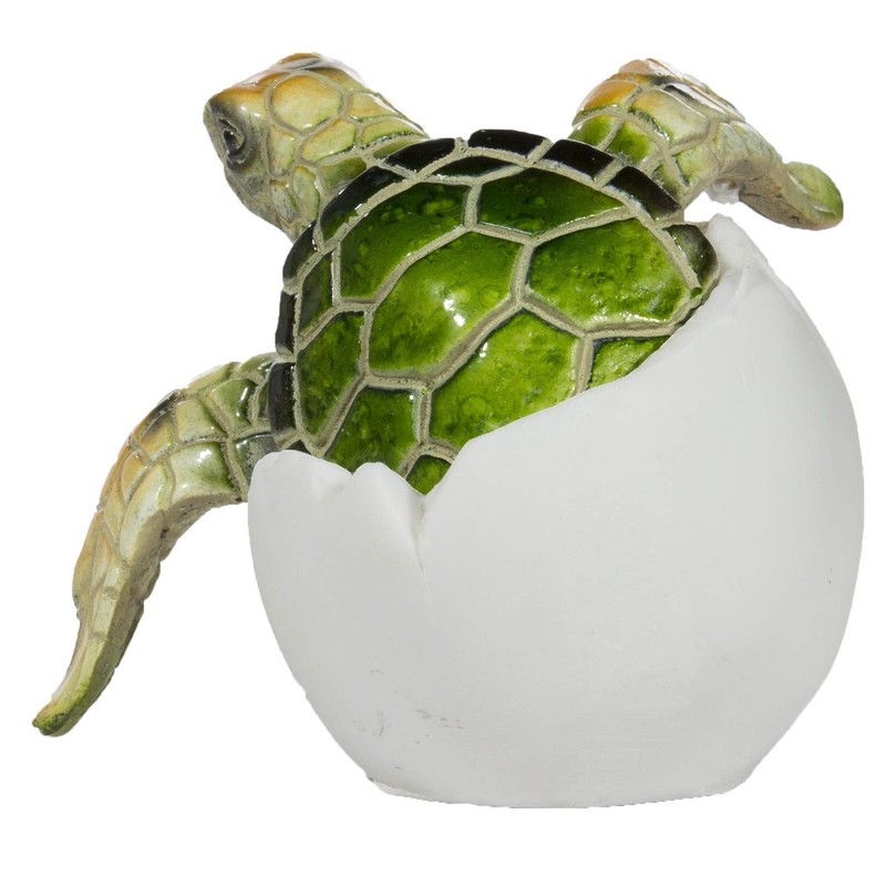 Cute Things Adorable Baby Sea Turtle Hatching from Egg 3