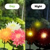 SteadyDoggie Solar Flower Outdoor Waterproof Garden Lights - 3.9"x3.9"x30"- Weatherproof