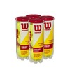 Wilson Championship Extra Duty 9 Tennis Ball (3x3), Yellow