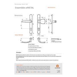 Bricard 788927 Handle Set on Emetal Plate and Stand for Front Door (for Euro Cylinders) Painted Silver