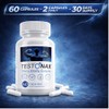 TestoNax Men’s Vitality Complex – 60 Capsules | Zinc &