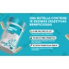 Windboss Enzimas Digestivas Y Probioticos 60+60 Caps Sabor S