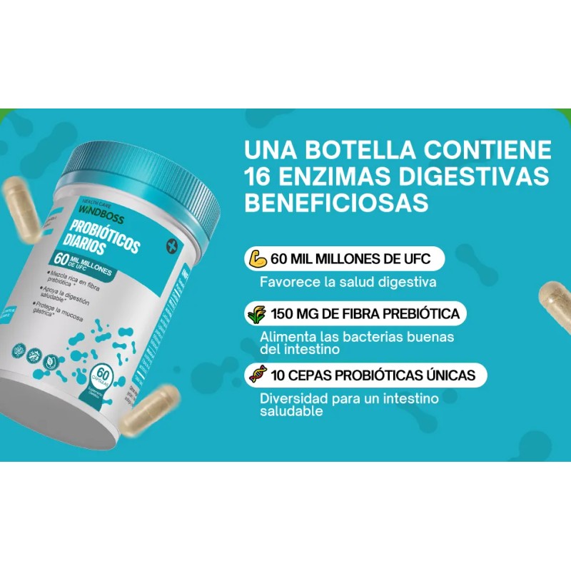 Windboss Enzimas Digestivas Y Probioticos 60+60 Caps Sabor S