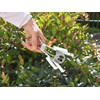 Celaflor Vole Trap, Vole Pliers Trap, Proven Galvanised Steel Pliers