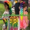 Rainbow Ponytail Extensions with Elastic Tie