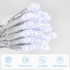 cshare String Lights Outdoor Waterproof 9.8ft 30 LED, Cool White