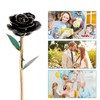 Long Stem Dipped 24k Gold Trim Red Rose In Gold