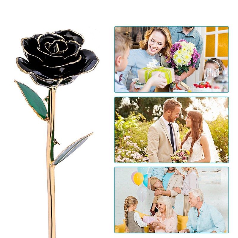Long Stem Dipped 24k Gold Trim Red Rose In Gold