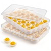 HANSGO Deviled Egg Containers with Lid, Set of 2, Plastic