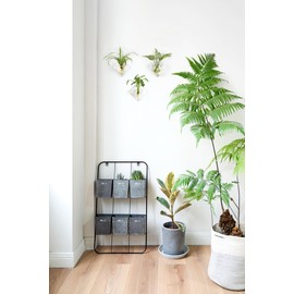 Mkono Wall Planter Hanging Propagation Stations Flower Vase Glass Pots Holder for Hydroponic Plants, Indoor Home Office Living Room Bathroom Decor Gifts, 3 Pack