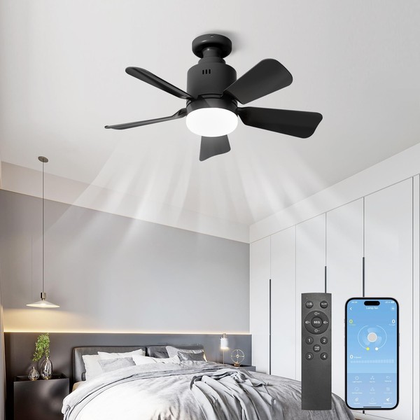 AHRHSM Ceiling Fan with Lighting and Remote Control, Dimmable 24