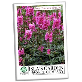 Rose Checker Mallow Perennial Flower Seeds, 25+ Flower Seeds Per Packet, (Isla's Garden Seeds), Non GMO Seeds, Scientific Name: Sidalcea Virgata, Great Home Flower Garden Gift