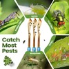 Qualirey 160 Pack Fly Strips Sticky Fly Trap Indoor Outdoor