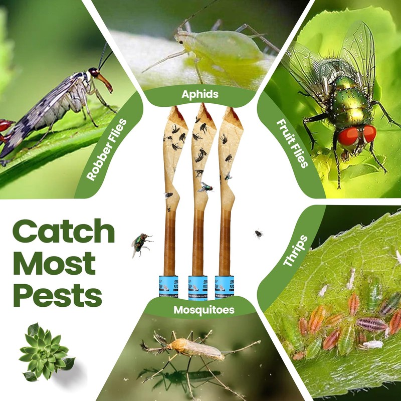 Qualirey 160 Pack Fly Strips Sticky Fly Trap Indoor Outdoor