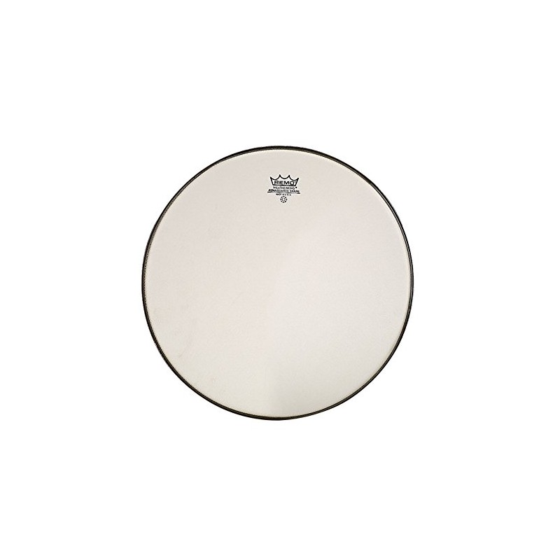 Ambassador Renaissance 12", Snare Reso