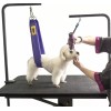 Grooming Safety by Jessica The Tool Saver for Clippers