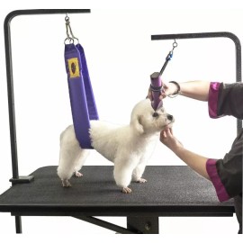 Grooming Safety by Jessica The Tool Saver for Clippers