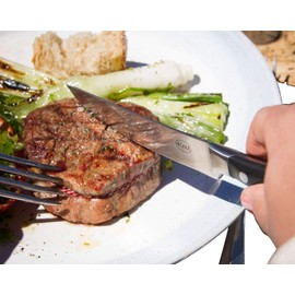 RÖSLE Steakbesteck 4-tlg., Hochwertige Steakmesser mit scharf geschliffener Klinge aus Klingenspezialstahl mit passender Steakgabel, POM, inkl. praktischer Holzbox, 25 x 11 x 4 cm