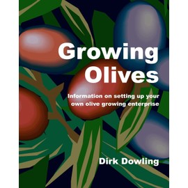 Growing Olives: Information On Setting Up Your Own Olive Growing Enterprise