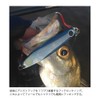 COREMAN Metal Jig CZ-30 Zettai On Hook #007 Sardine Gold