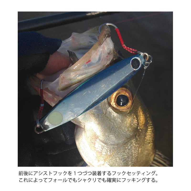 COREMAN Metal Jig CZ-30 Zettai On Hook #007 Sardine Gold