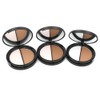 Mesvol 2 Color Contouring powder (02)