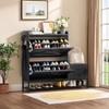 DWVO Farmhouse Shoe Cabinet Bench with 2 Flip Drawers for
