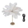 Desk Lamp Touch Sensitive, Spring Table Lamp, Modern Feather Lamp,