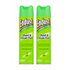 Endust Multi-Surface Dusting and Cleaning Spray, Green Apple, 2 Count