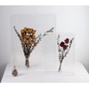 MarccTipton 16x20 Acrylic Shadow Box, Assemble Display Case, DIY Tabletop/Wall