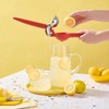 Chef'n FreshForce Lemon Squeezer Citrus Juicer, Premium Quality, Max Extraction,