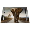 Elephant Placemats Set of 4, Walking Elephant African Animals Placemats