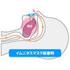 【新方式！無呼吸症候群・いびき防止グッズ】お手軽！口呼吸ストップ！イムニタスマスク（頭がけ） (1)