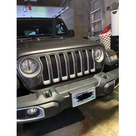 Black and White Eye (8 Inch)