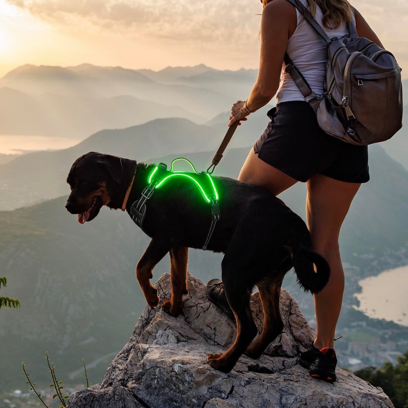 Light Up Dog Harness No Pull LED Dog Harness with
