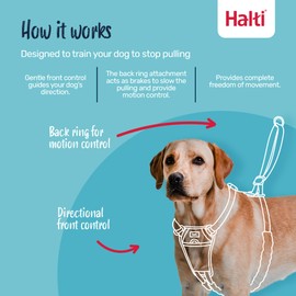 HALTI No Pull Harness - To Stop Your Dog Pulling on the Leash. Adjustable, Lightweight and Easy to Use. Reflective Dog Training Harness for Toy and Small Dogs (Size XS, Cobalt Blue)