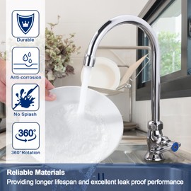 iVIGA Single Hole Cold Water Faucet: Deck Mount Kitchen Cold Only - Brass Utility Outdoor Sink Faucet - for Commercial Bar RV Kitchen Farmhouse Laundry - Chrome